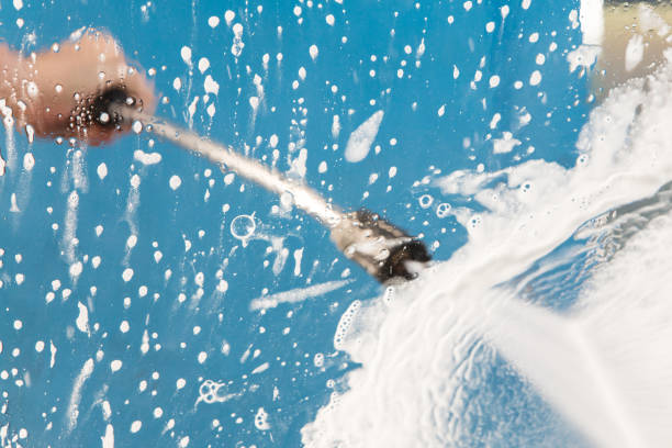 Animal Enclosure Cleaning in North Ballston Spa, NY